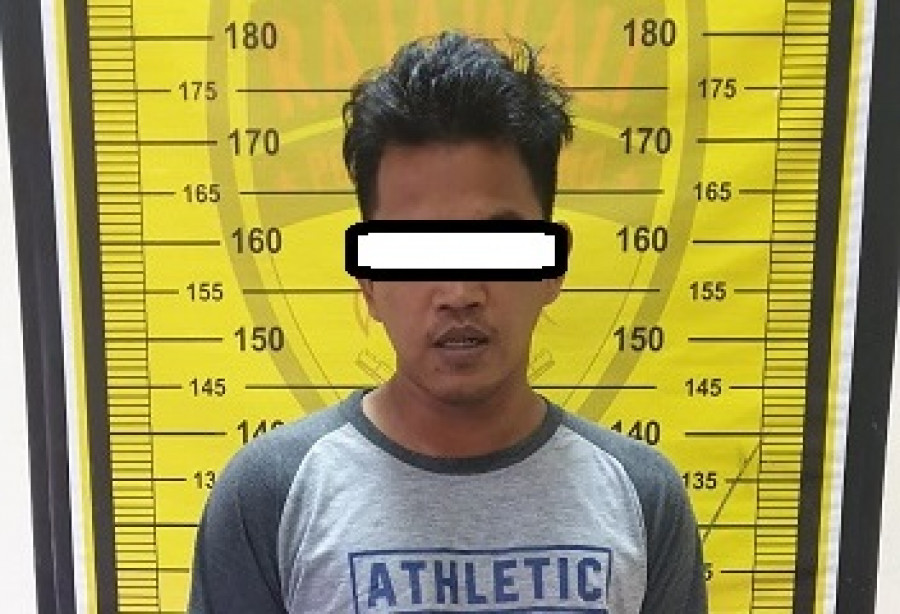 Tersangka Kasus Pencurian Dengan Pemberatan, WAH (31) (Foto: Dok.Polres)