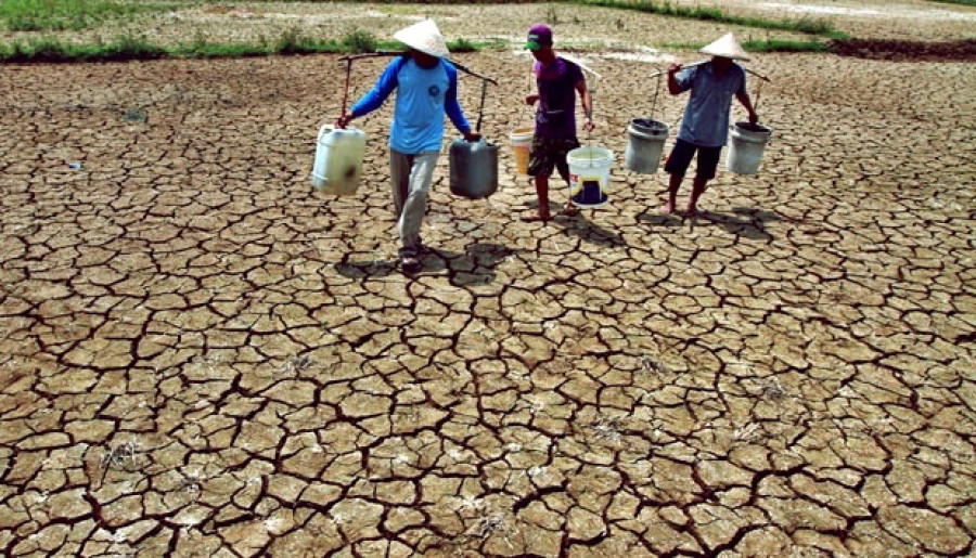 ilustrasi musim kemarau / Foto: ACT