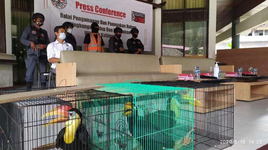 Pelaku kejahatan hutan berhasil dimankan Balai Gakkum Wilayah Kalimnatan bersama tim gabungan, bersama dengan barang bukti satwa dilindungi. (Foto:Nancy/korankaltim.com)