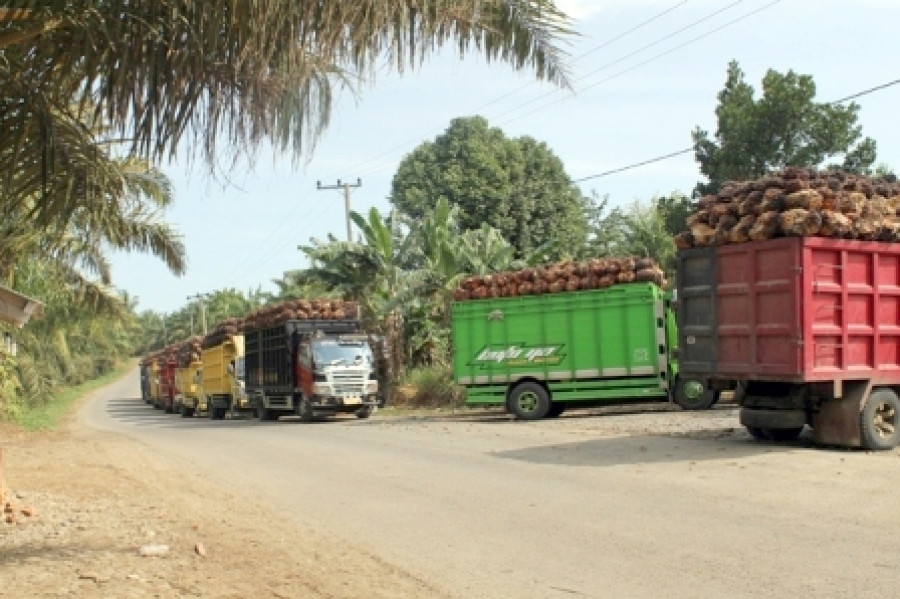 ANGKUTAN SAWIT: Truk pengangkut sawit yang melintas di siang hari dinilai sangat membahayakan warga yang menggunakan jalan umum di kawasan Kutai Barat. (FOTO: IMRAN/KK)