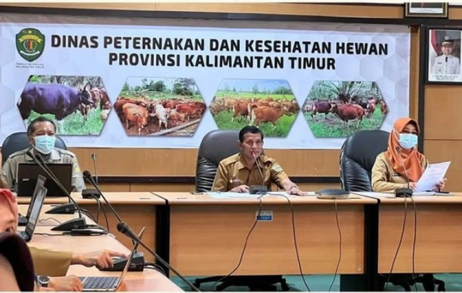 Kepala DPKH Kaltim Munawwar (tengah) memimpin Rakor Kesiagaan dan Kewaspadaan PMK. (Foto: DPKH Kaltim)