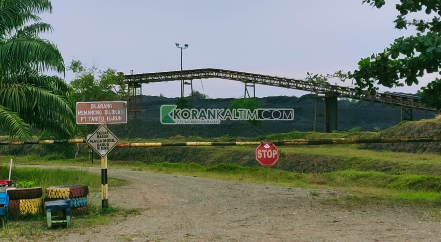 Stockpile batu bara eks PT Tanito Harum di Kelurahan Loa Tebu, Tenggarong, Kutai Kartanegara. (Foto: Reza Fahlevi/Korankaltim.com)