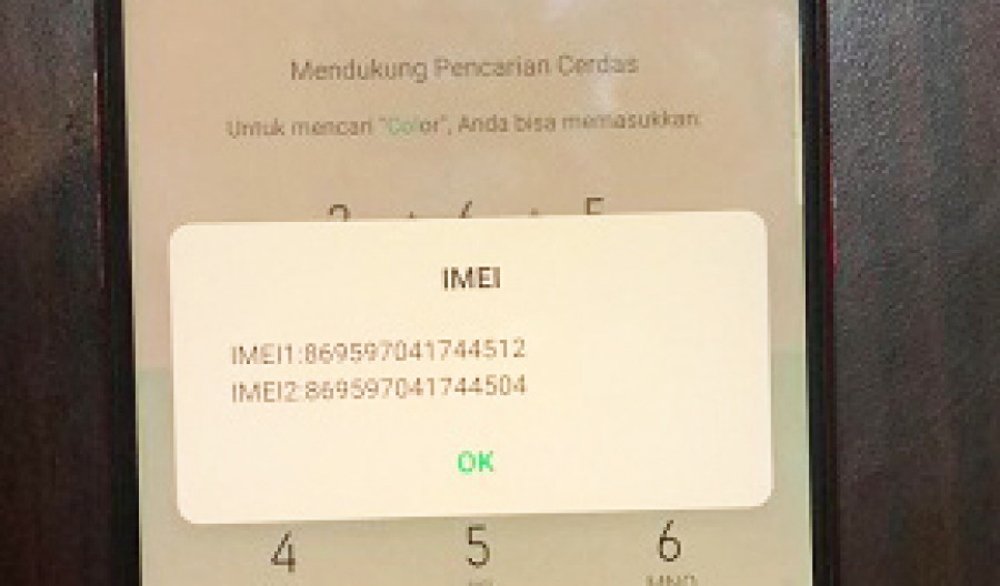 Bukti jejak Imei (Foto: Istimewa)