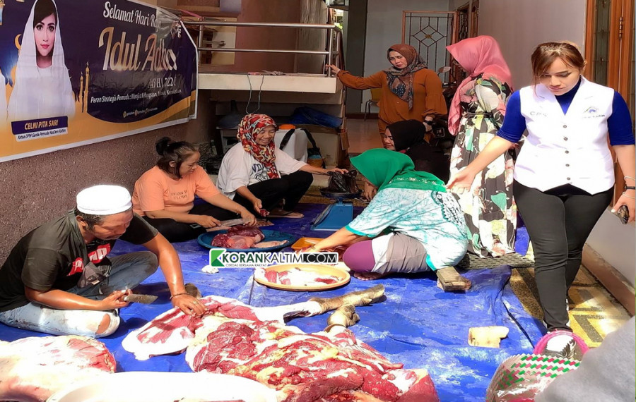 Ketua GP Nasdem Kaltim, Celni Pita Sari terlibat dalam proses pengemasan daging sapi hasil kurban GP Nasdem Kaltim. (Foto: Permata/Korankaltim.com)