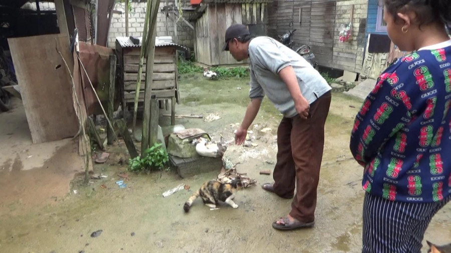 Warga menunjuk satu dari puluhan itik yang mati di kampung mereka kawasan Gunung Kapur siang tadi. (Foto: Istimewa )