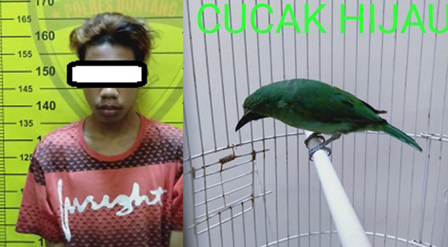 Pelaku dan barang bukti ( Foto: Ist)