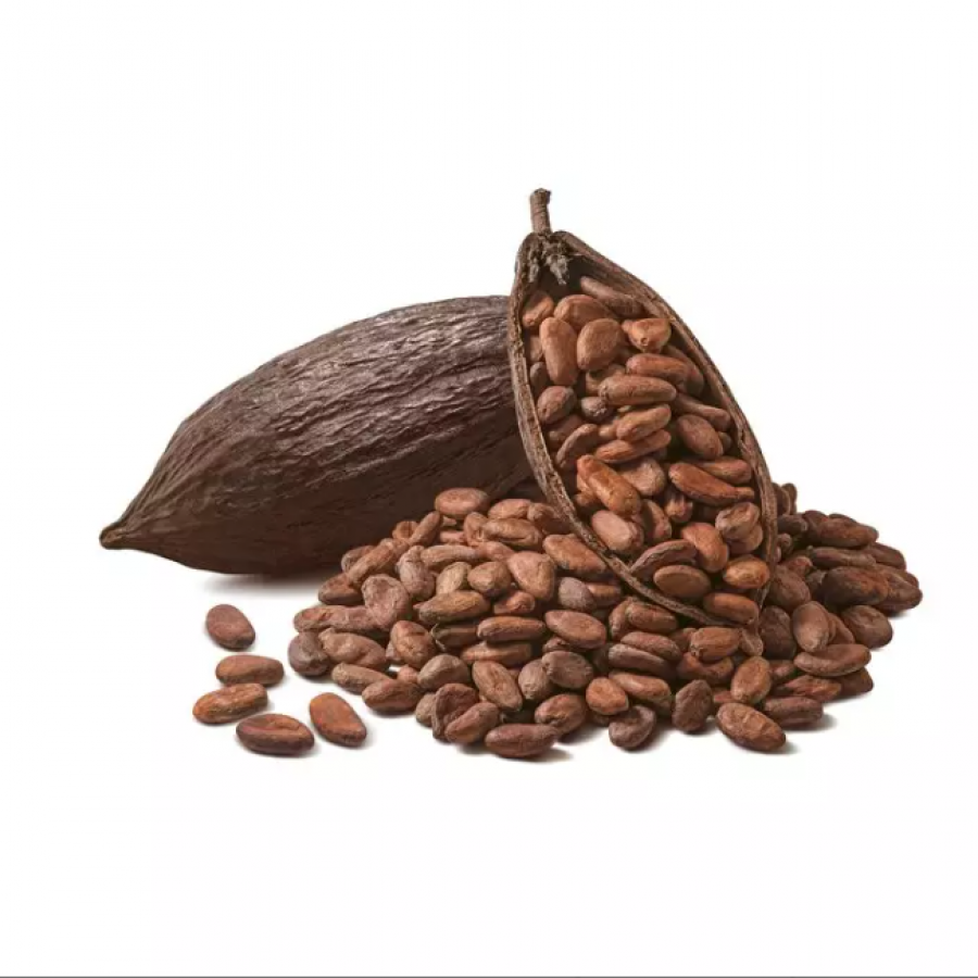 Illustrasi Kakao