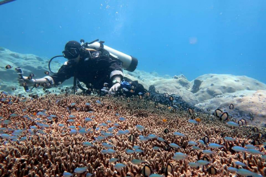 Salah satu spot diving yang ada di Pangempang, Muara Badak (Foto: Istimewa)