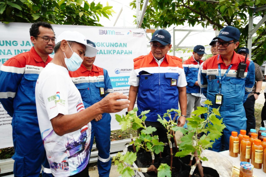 Direksi dan Manajemen PT Kilang Pertamina Internasional mengunjungi dan berdialog dengan mitra binaan di Green House Anggur Kelurahan Muara Rapak, Kota Balikpapan. (Foto: PT KPI Unit Balikpapan)