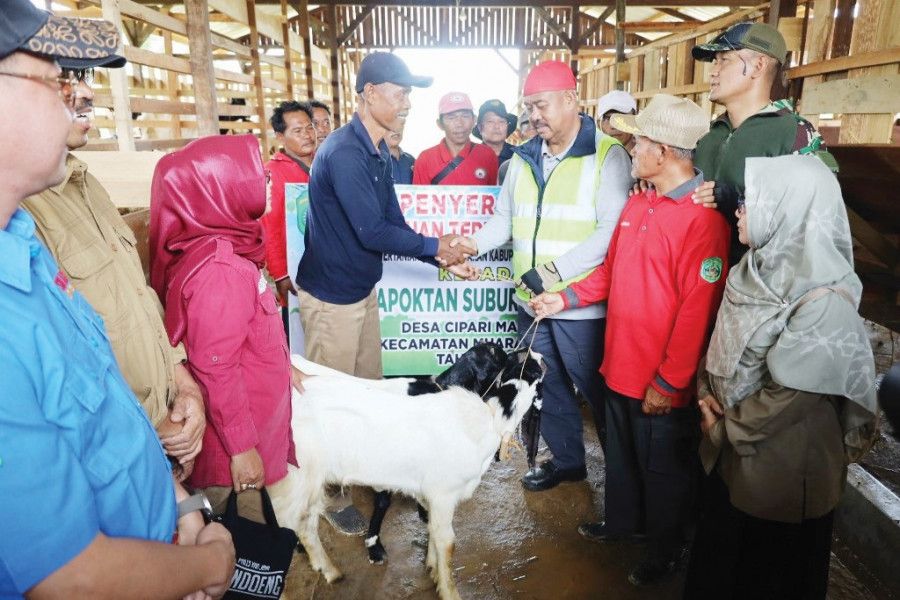 Bupati serahkan bantuan ternak kambing di Cipari Makmur. (Foto: Prokom)