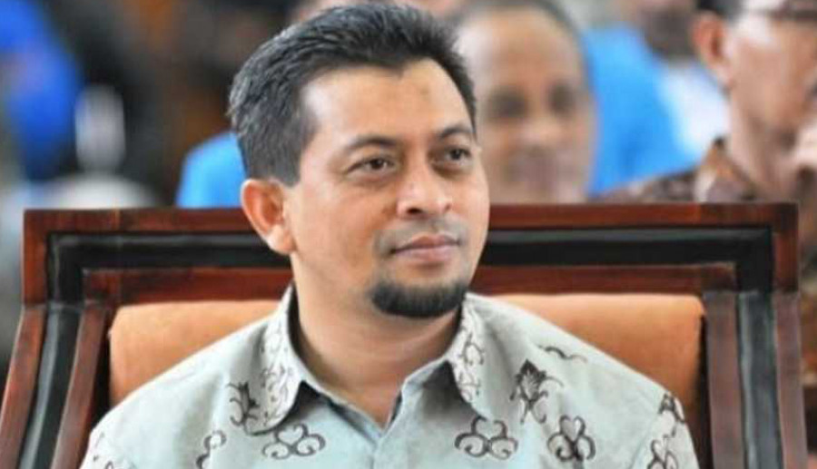 Wagub, Hadi Mulyadi