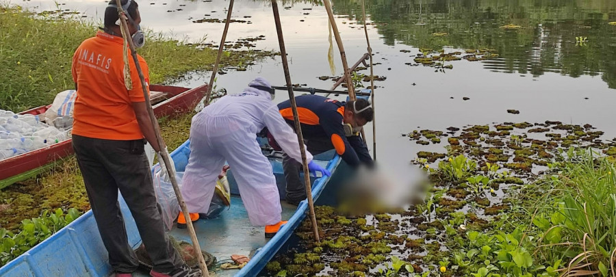 Relawan Inafis Polresta Samarinda saat mengangkat jasad bayi malang tersebut dari danau Kamis (3/3/2022) tadi.(Foto:Nancy/korankaltim.com)