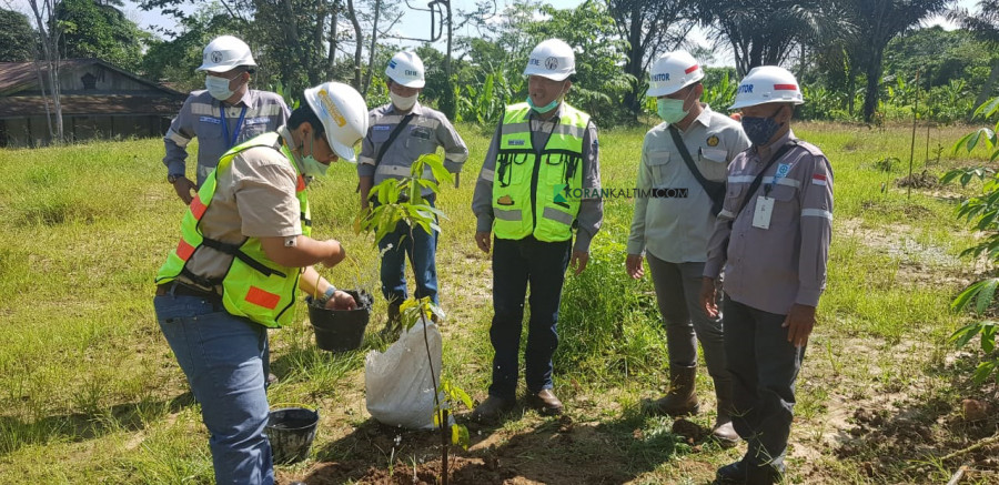 Penanaman bibit ulin dan meranti oleh PT Bukit Baiduri Energi (BBE) di lahan konsesi tambang PT BBE sebagai upaya melestarikan tanaman endemik Kalimantan (Foto: Permata/korankaltim.com)