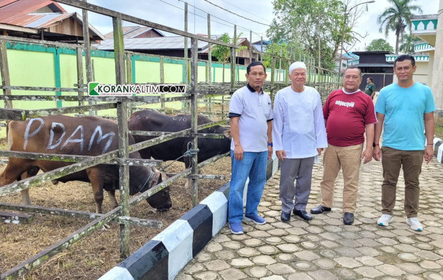 Penyerahan dua ekor sapi Perumda Tirta Mahakam kepada Masjid Agung SAMS. (Foto: Heri/Korankaltim.com)