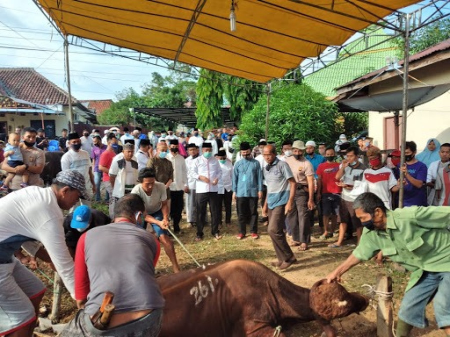 Banyaknya orang yang berkumpul saat pemotongan hewan kurban membuat potensi penyebaran virus juga semakin besar. (idntimes)