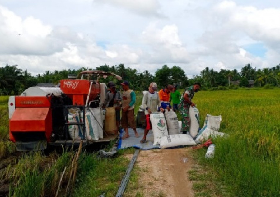 Petani di Babulu, kesulitan menjual hasil panen mereka. (ist)