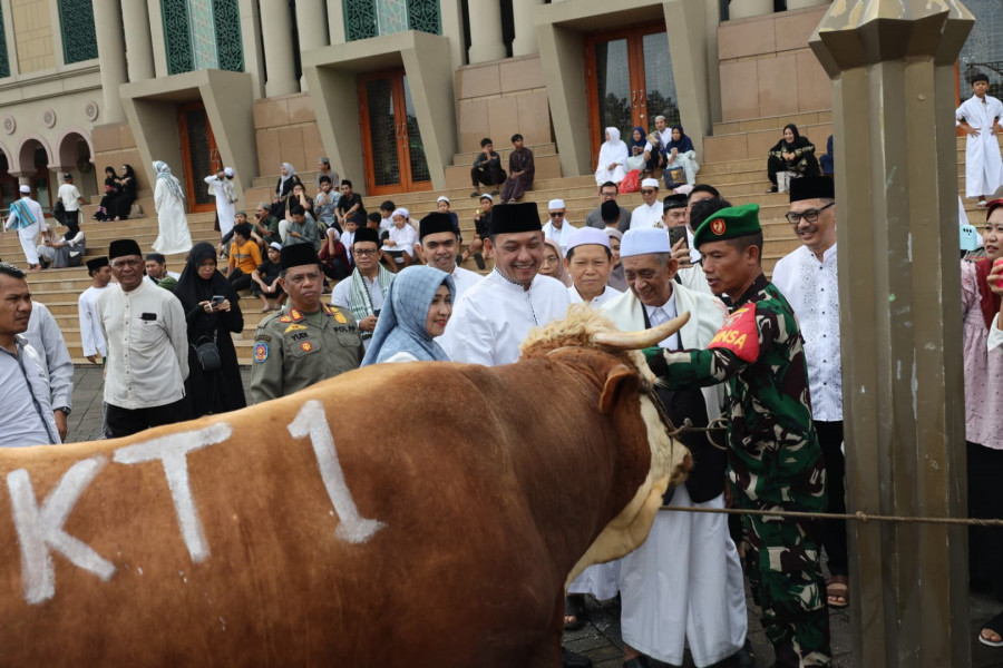 Pemprov Kaltim serahkan 21 hewan kurban bagi warga Samarinda. (Foto: Diskominfo Kaltim)