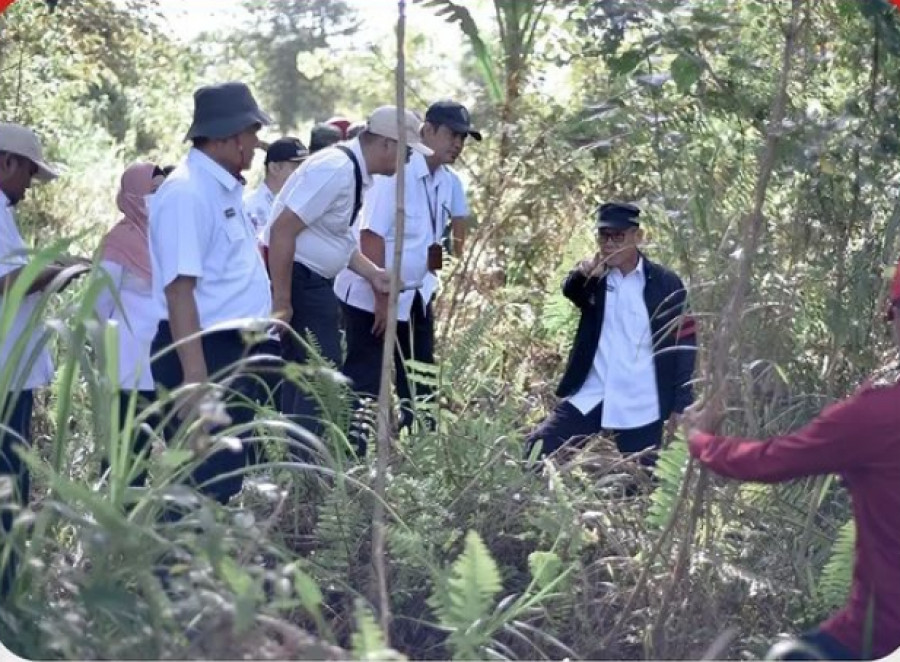Wakil Wali Kota Samarinda, Rusmadi (kanan) ketika meninjau lokasi kelompok tani Duta Tani di Makroman, pada Rabu (31/1/2024). (diskominfo samarinda)