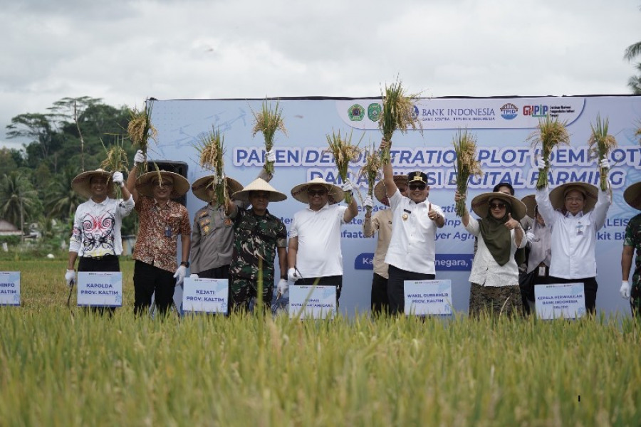 Bupati Kukar bersama Wagub Kaltim Seno Aji saat panen Padi di Demplot LEISA Bukit Biru Tenggarong. (Foto: Prokom)
