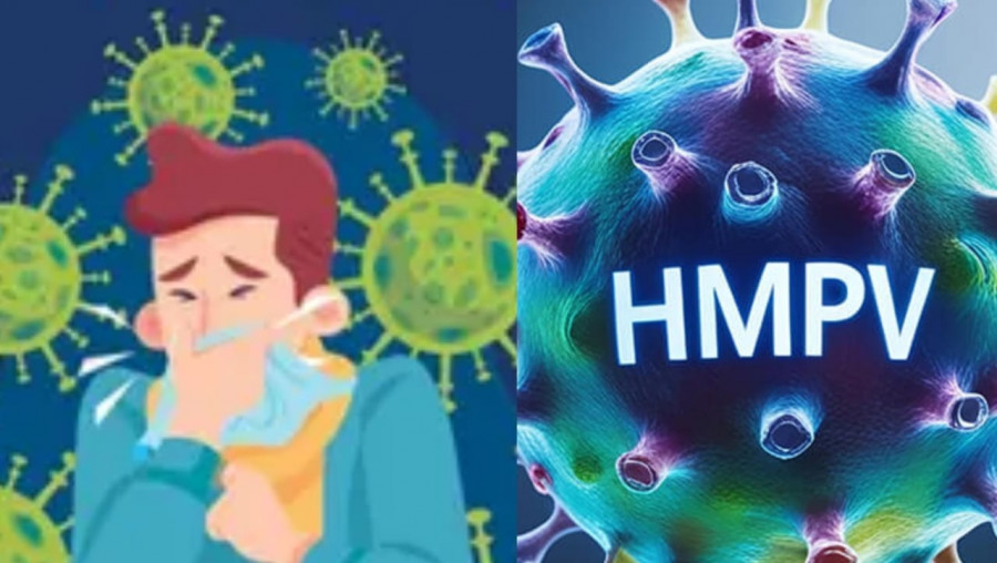 Ilustrasi virus HMPV. (Foto: Istimewa)