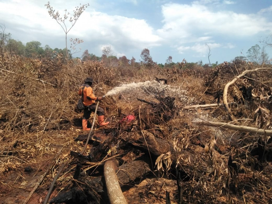 Petugas gabungan memberikan penanganan Karhutla yang terjadi di RT 02 dan 03 Desa Giripurwa, Kecamatan Penajam pada awal 2020 lalu. (Istimewa)