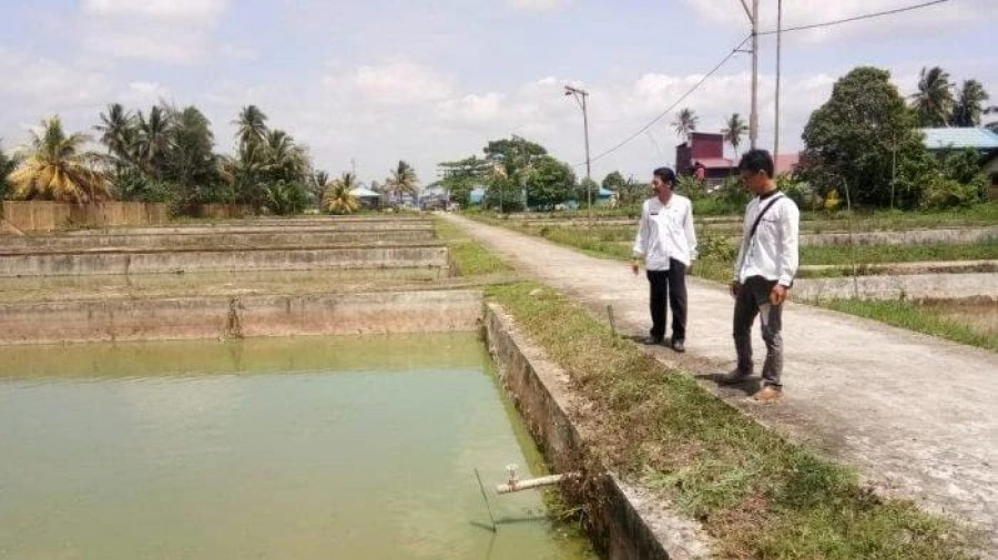 Balai Benih Ikan (BBI) di desa Perjiwa yang sudah dianggap berhasil oleh Dinas Kelautan dan Perikanan (DKP) Kukar. (Foto: Istimewa)