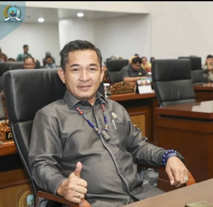 Wakil Ketua Komisi III DPRD Kaltara, Hendri Tuwi. (istimewa)