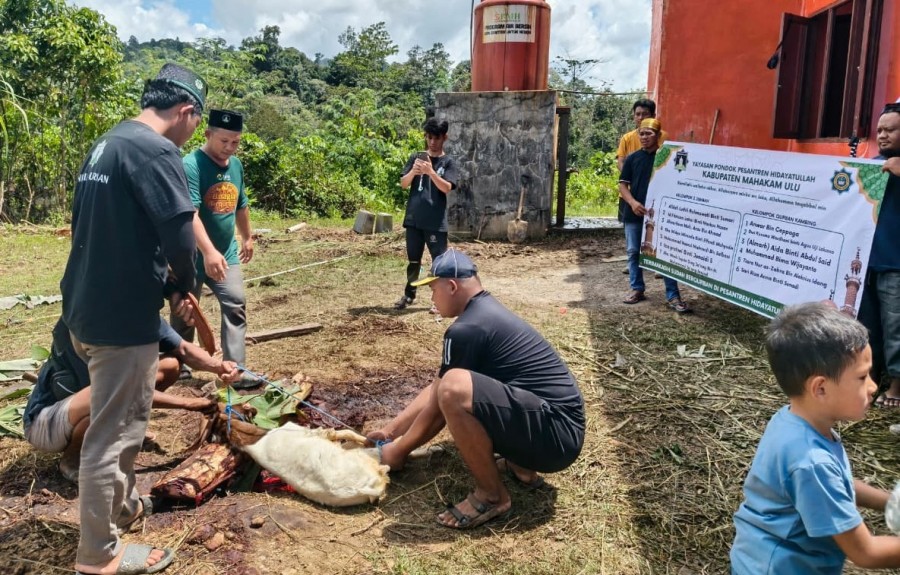 Pemotongan hewan kurban oleh Panitia penyembelihan hewan kurban yang siap dibagikan kepada masyarakat sekitar pondok pesantren, wali murid sekolah di bawah naungan Hidayatullah, hingga warga di Kampung Laham, Kecamatan Laham. (Foto: Julika/KK)