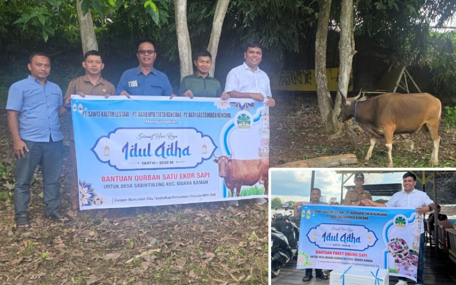 Wujud Kepedulian Sosial, PT Sawit Kaltim Lestari Salurkan Hewan Kurban dan Paket Daging Iduladha ke Tiga Desa