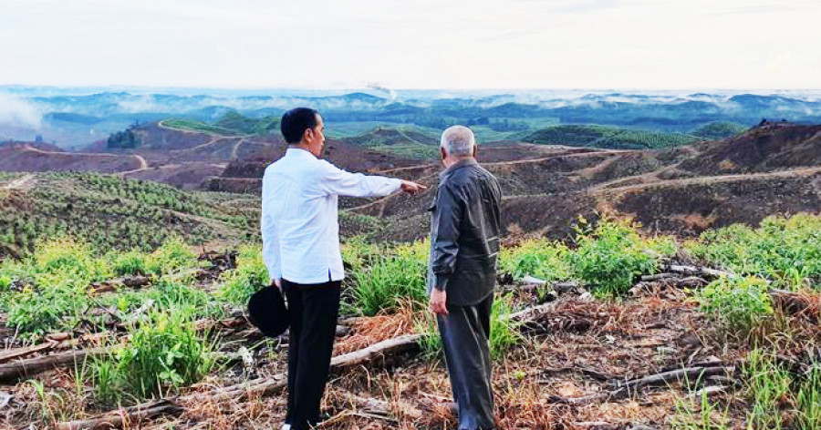 Presiden Joko Widodo meninjau lokasi kluster pemerintahan di calon ibu kota baru di Kecamatan Sepaku ( Foto: Kompascom)