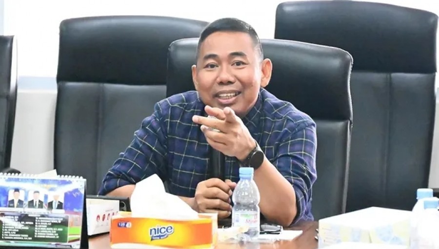 Wakil Ketua DPRD Kaltara, Muddain. (istimewa)