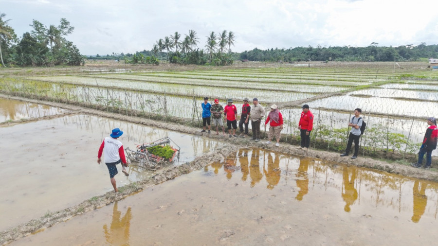 Bupati Kukar Edi meninjau penggunaan alat tanam padi mekanis di Desa Bangun Rejo. (PROKOM)