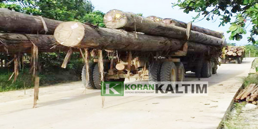 beban berat : Truk pengangkut kayu gelondongan melintas dengan leluasa di jalan Kampung Suakong. (Foto: imr/korankaltim.com)