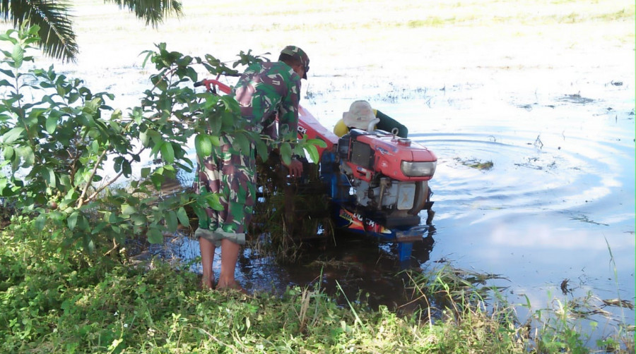 Babinsa Desa Sebakung Makmur bersama salah satu petani bersiap membajak sawah ( Dwi cahyo / korankaltimcom)