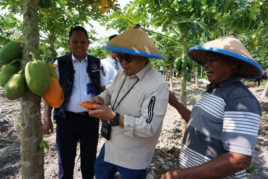 Wabup Rendi Solihin mengunungi kelompok tani di Kelurahan Handil Baru. (prokom)