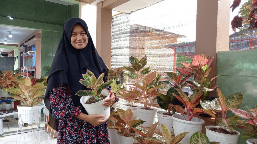 Ahli tanaman aglonema Sulimin Mimin siap membeberkan cara merawat tanaman agar subur dan sehat. (Foto: Cholisoh/korankaltim)