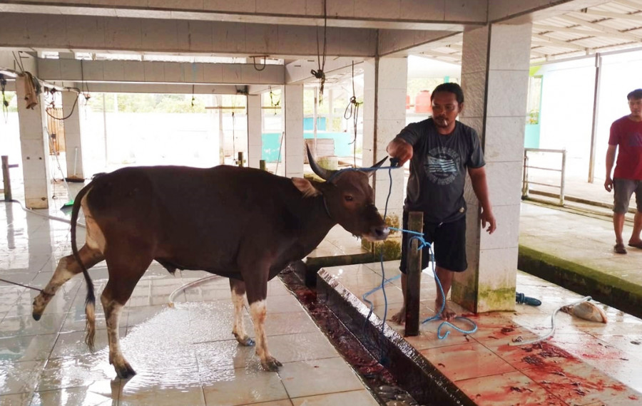 Tukang jagal saat melayani pemotongan hewan kurban permintaan masyarakat. (Foto: Istimewa)