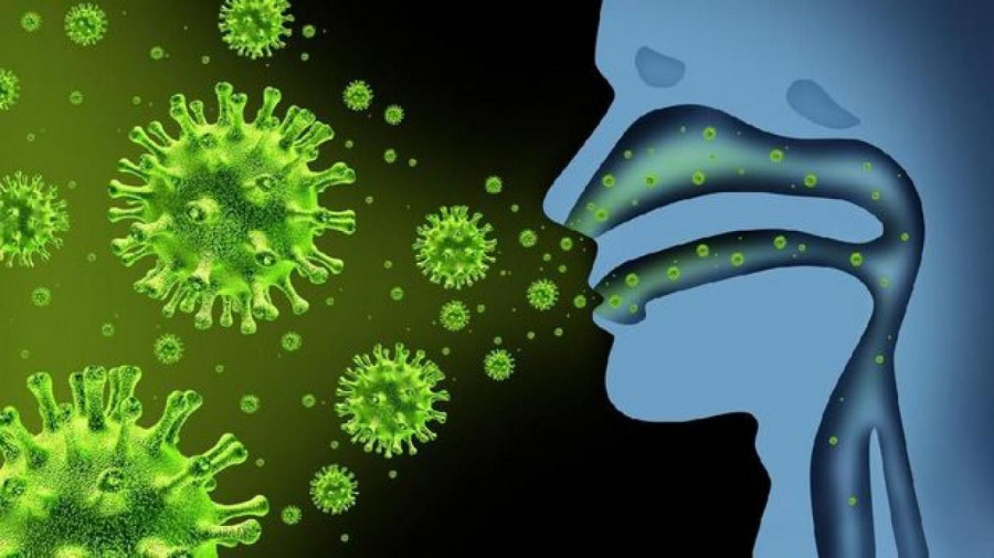 Ilustrasi virus Covid-19 yang pernah melanda dunia. (Foto: Istimewa)
