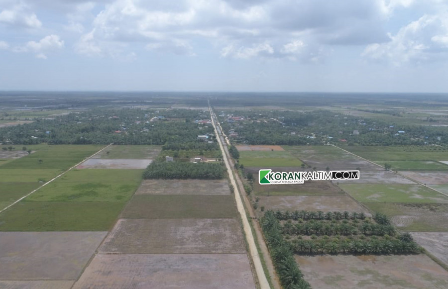 Lahan pertanian yang di tanami pohon kelapa sawit di Kecamatan Babulu. (Foto: Erwin/Korankaltim.com)