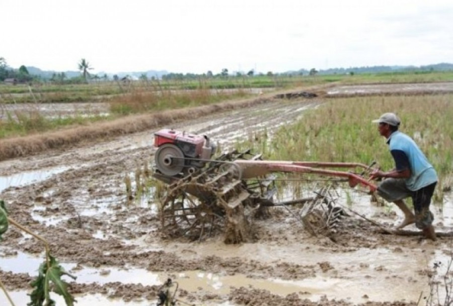 Ilustrasi Pertanian. (Foto: Pemprov go id)