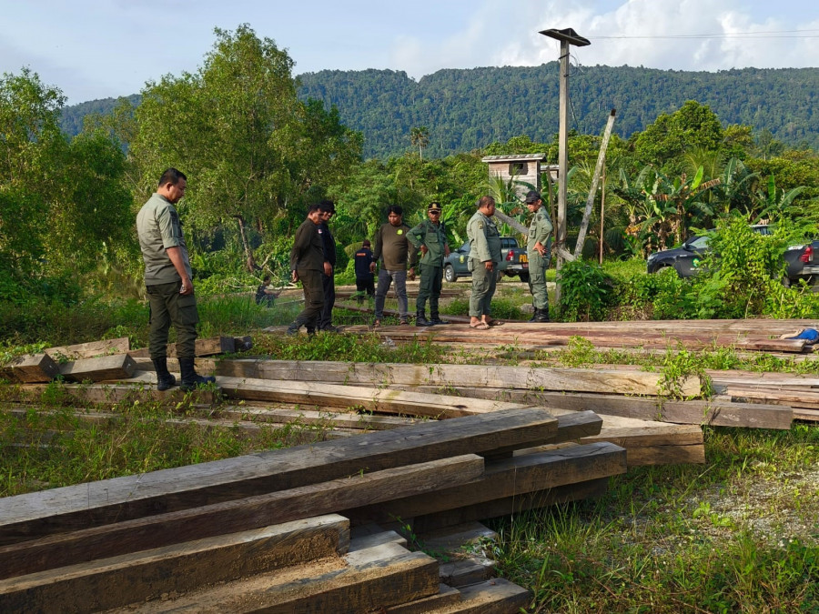 Dishut Kaltim Gelar Operasi Gabungan Peredaran Hasil Hutan, Berhasil Temukan Ratusan Batang Kayu Ulin