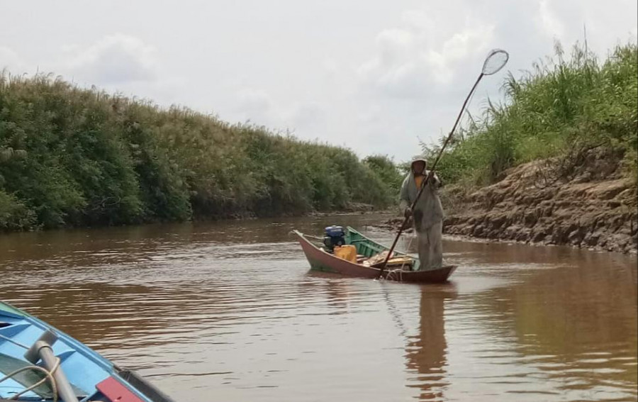 Metode tangkap ikan menggunakan setrum (Foto: ist)