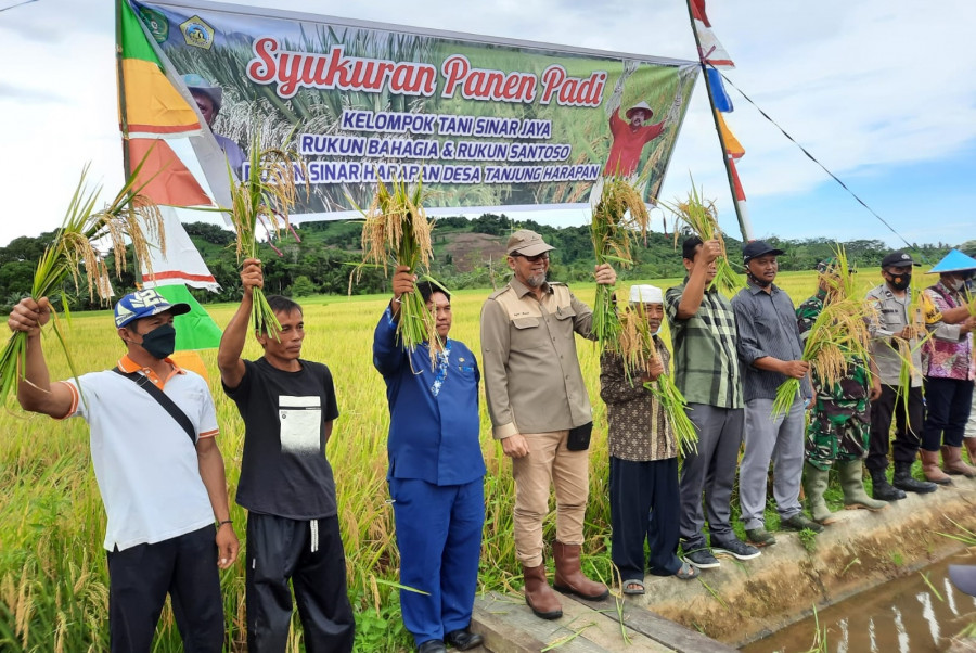 Syukuran Panen Padi di Dusun Sinar Harapan (Foto: Distanak.dok)