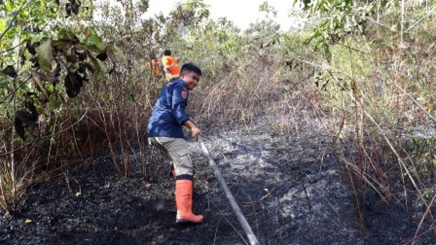 Padamkan Api : Petugas BPBD PPU berjibaku dengan selang saat memadamkan kebakaran hutan dan lahan di daerah itu. (FOTO: WN/KK)