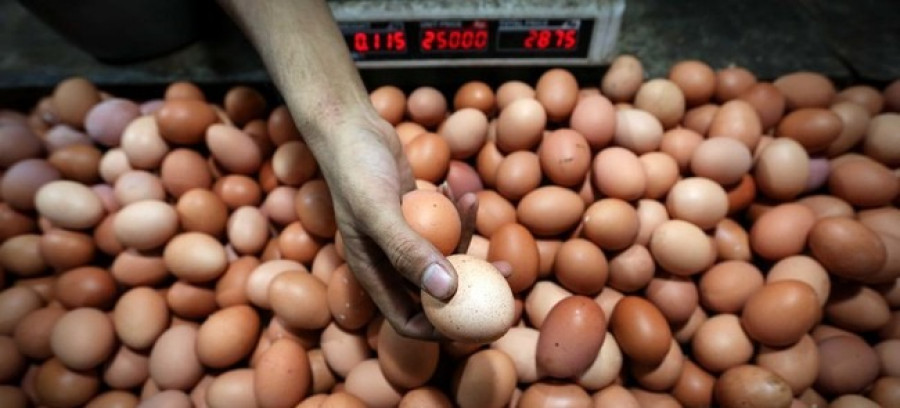Telur ayam menjadi salah satu bantuan pangan untuk penanganan stunting. (Foto: CNNIndonesia)