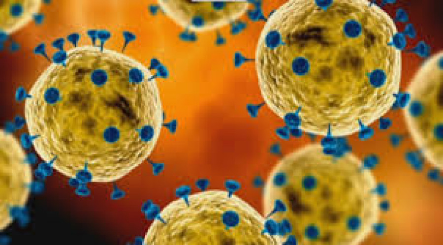 Ilustrasi virus ( Foto: Ist)