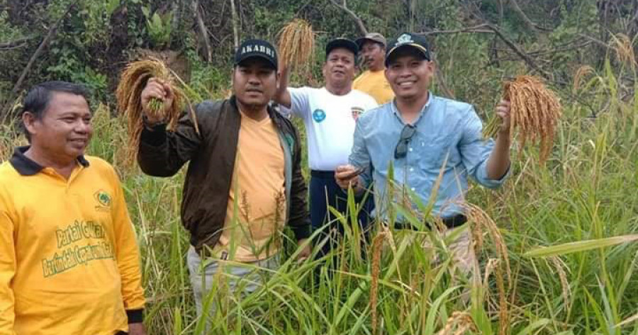 Saleh Bersama Tokoh Muda Golkar Bobby Rimba Saat Melihat Langsung Potensi Padi Gogo di Santan Ulu Kecmatan Muara Badak
