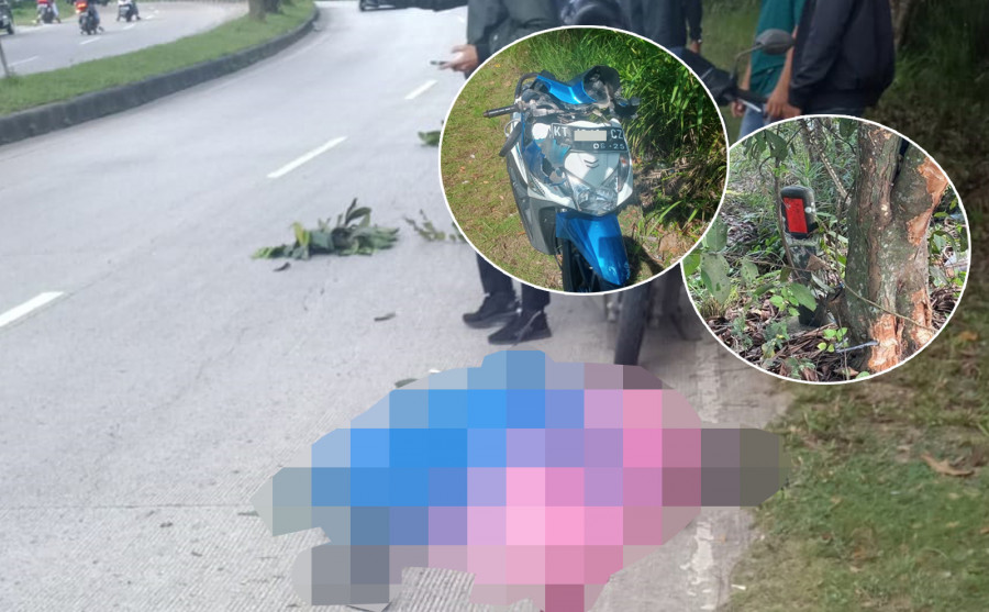 Korban kecelakaan di jalan poros KM 1 Tenggarong-Samarinda yang diduga lepas kendali sehingga terjatuh dan meninggal dunia setelah menghantam pohon. (Foto: Istimewa)