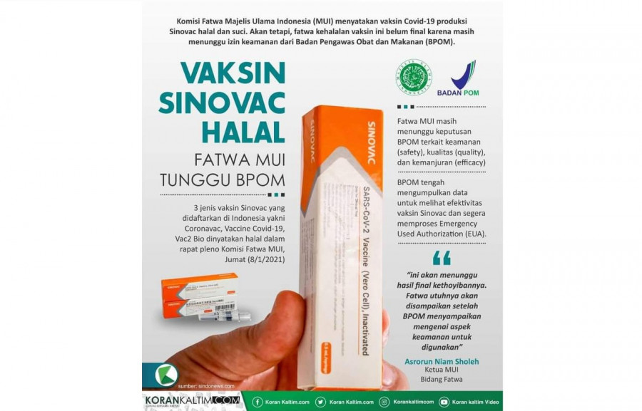 Info grafis Vaksin Sinovac (Foto: Infografis/Korankaltim.com)