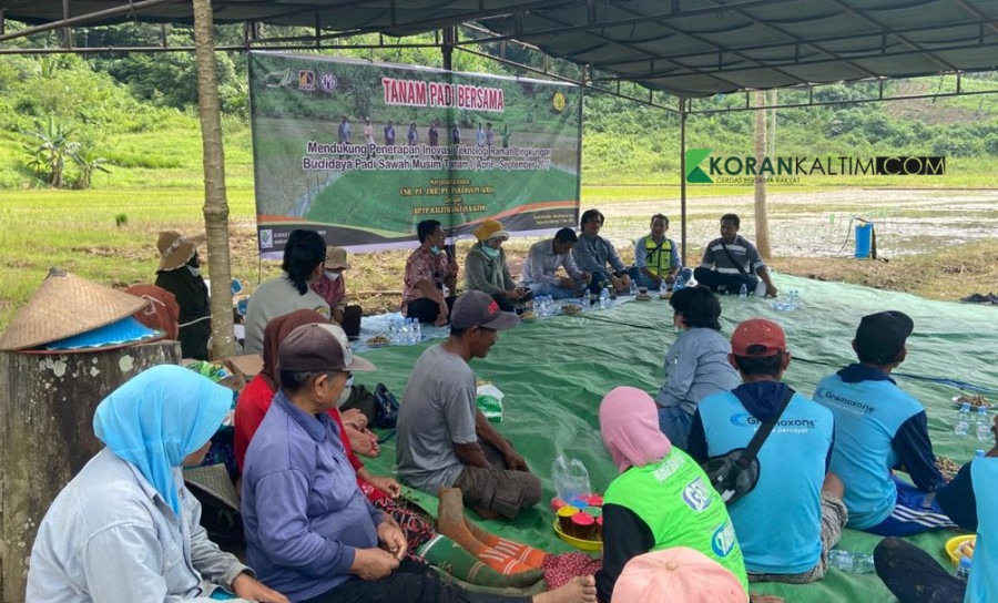 PT KMIA bersama BPTP Kaltim memberikan sosialisasi kepada petani Desa Bhuana Jaya untuk hasil panen yang lebih maksimal (Foto: Permata/korankaltim.com)